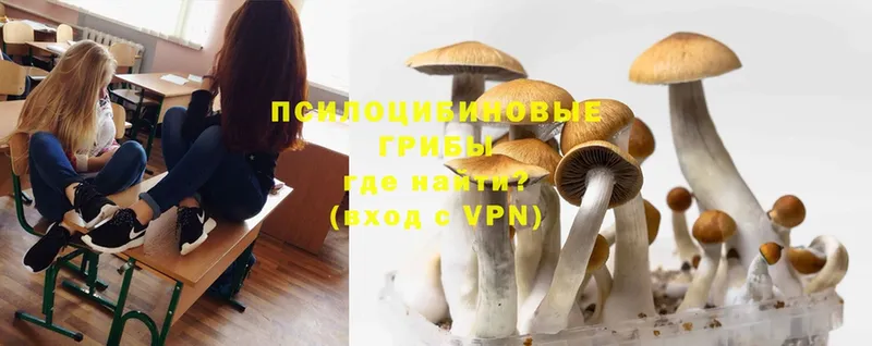 Псилоцибиновые грибы Magic Shrooms  цена   Вилючинск 